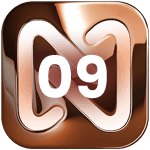 Step 09