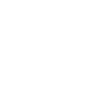 Object