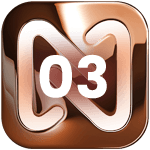 Step 03