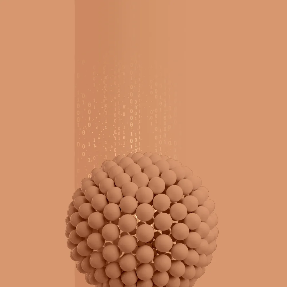 Service/Feature Image